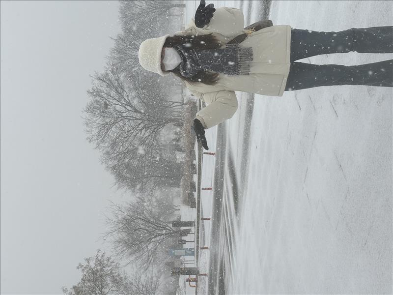 李芝錡